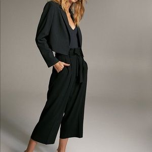 NWT! Aritzia Linnea pants